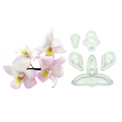 Singapore Orchid set of 5