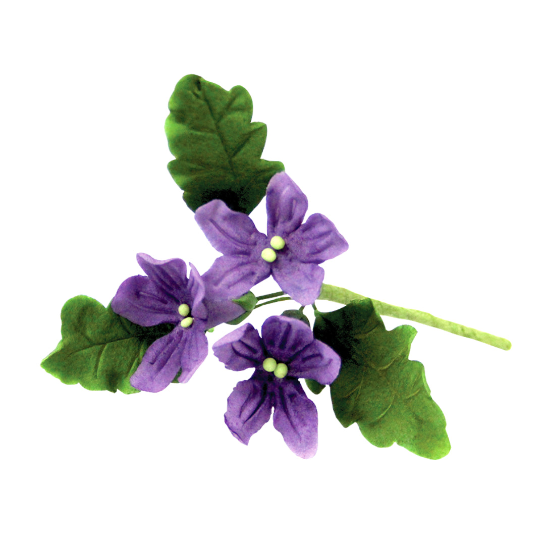 Pansy & Violet Set of 4